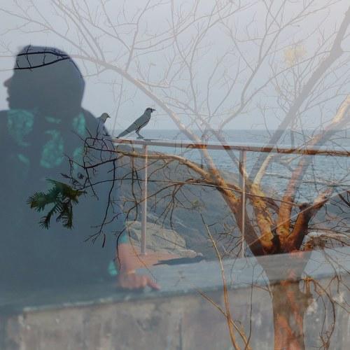 Photo #4264440