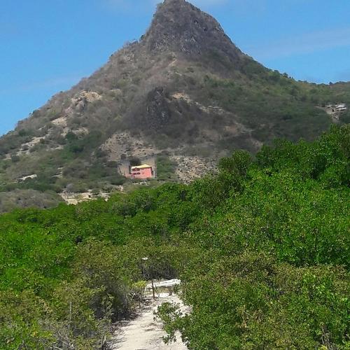 Mount and Mangroves