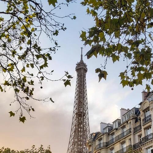 Photo #4264828