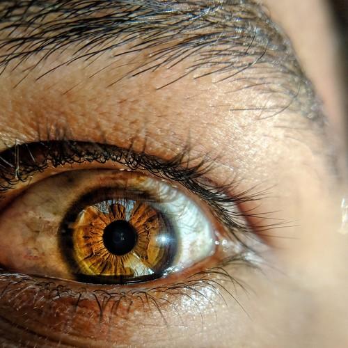 Photo #4265149
