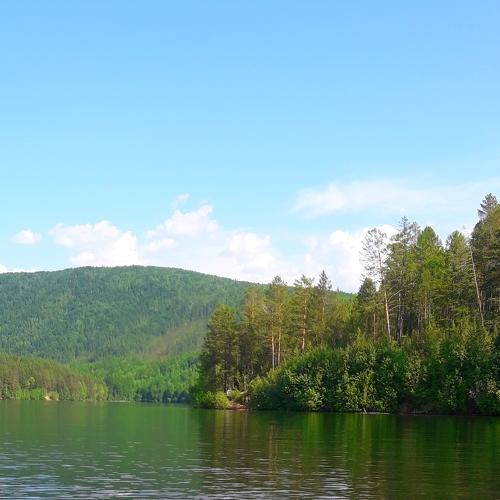 Photo #4265157