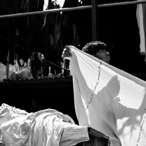 Photo #4265201