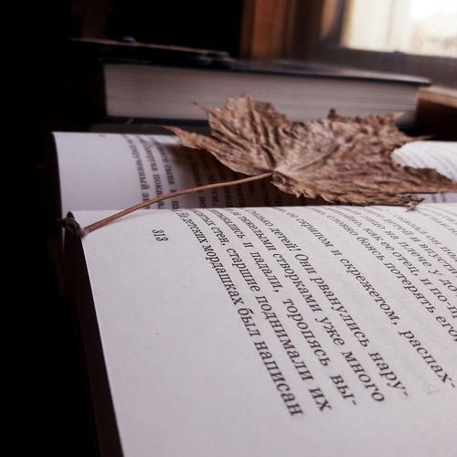 Photo #4265248