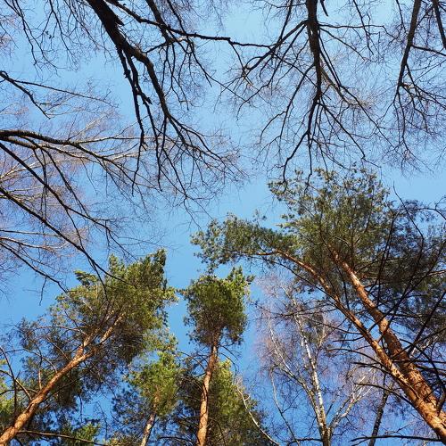 Photo #4265917