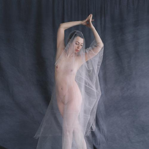 Photo #4266230