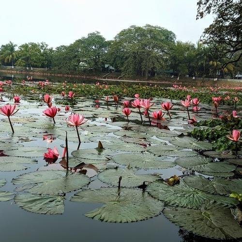 Photo #4266681