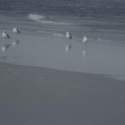Photo #4267165