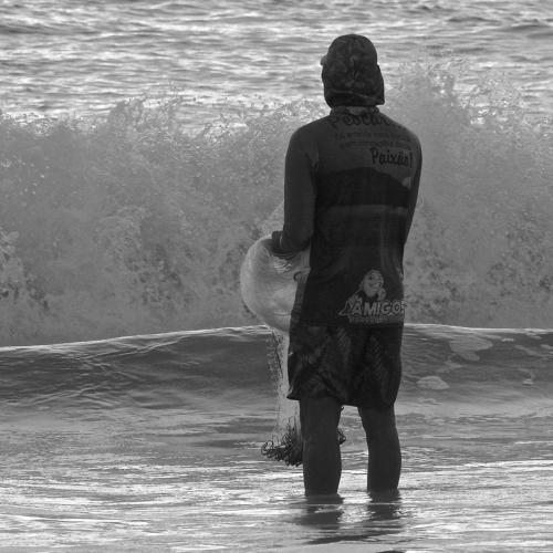 Photo #4267641