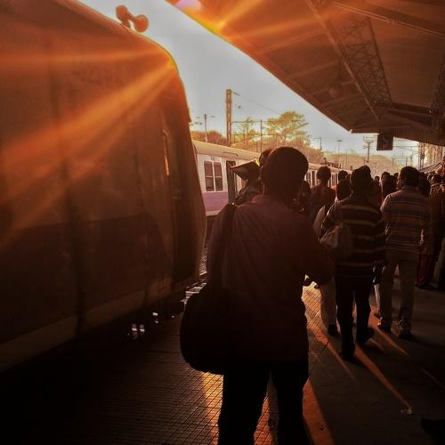 Photo #4267953