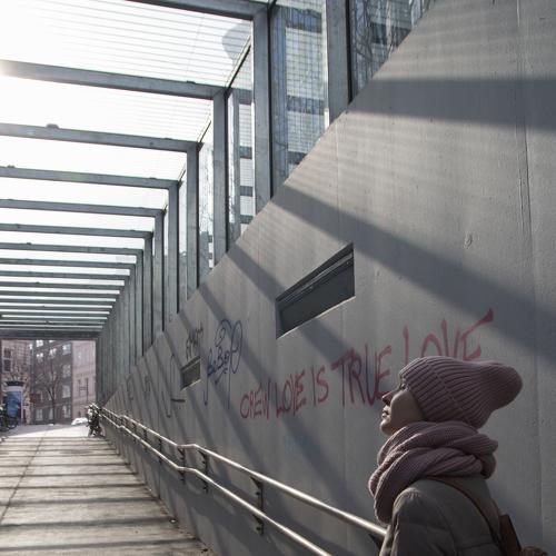 Photo #4268155