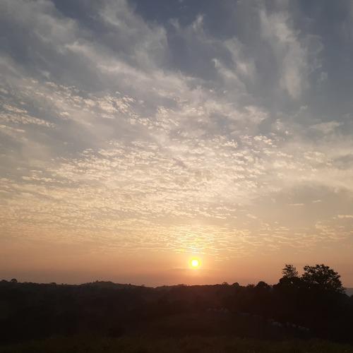 Photo #4268226