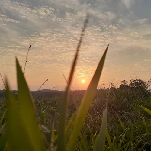Photo #4268227