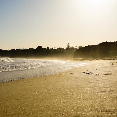 Photo #4268433
