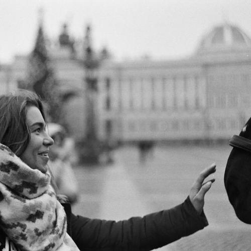 Photo #4268589