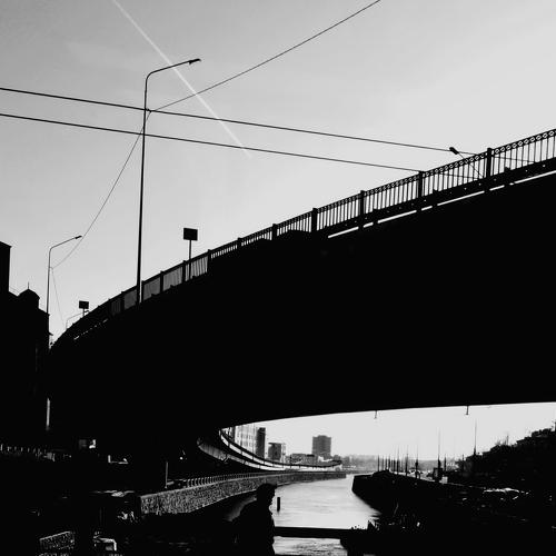 Photo #4268976