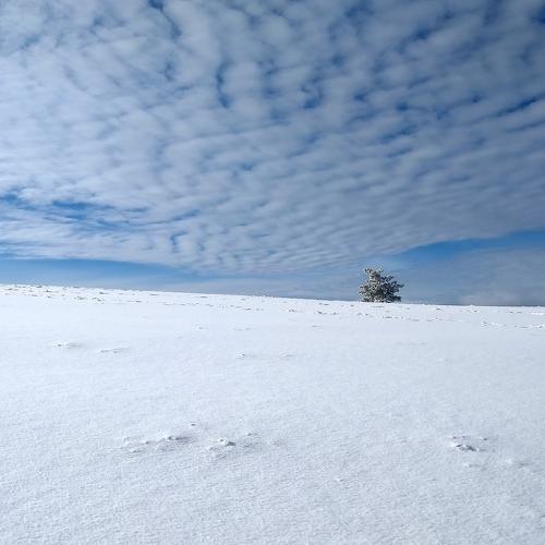 Photo #4269110