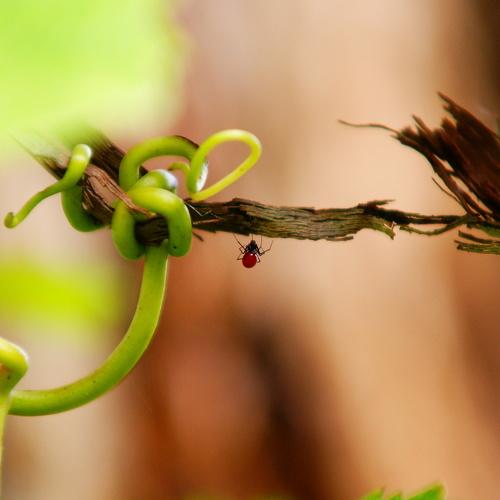 Photo #4269387