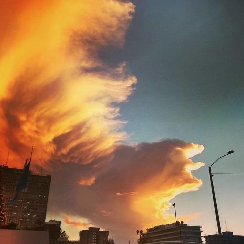 Photo #4269422