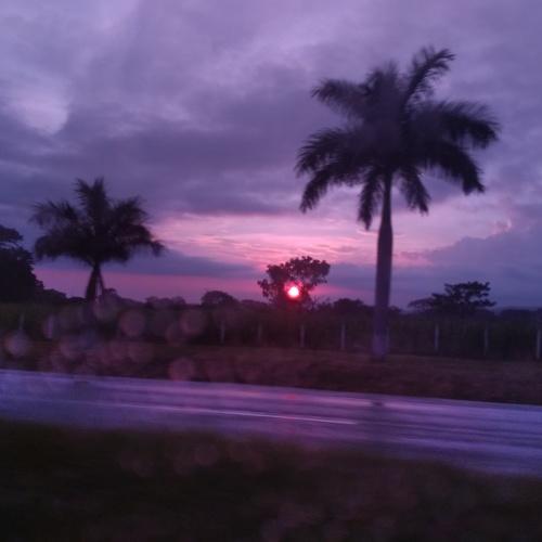 Photo #4269423