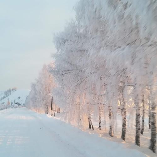 Photo #4269616