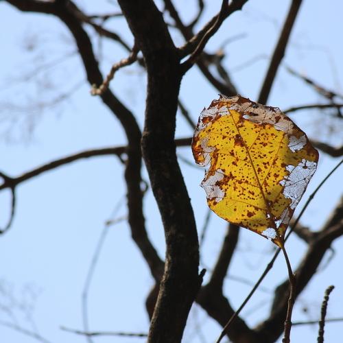 Photo #4269810