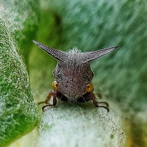Photo #4269897