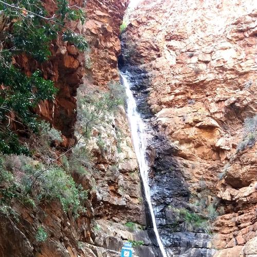 Photo #4270012