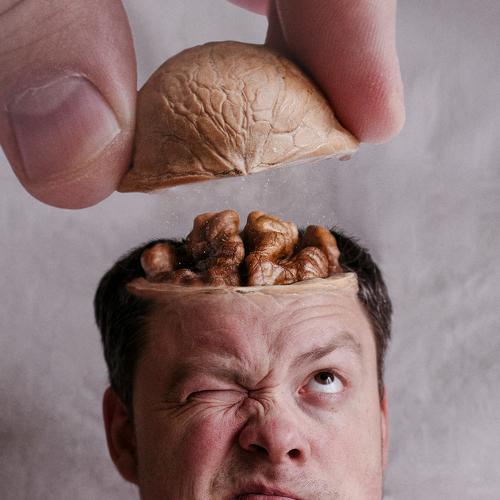 Photo #4270084