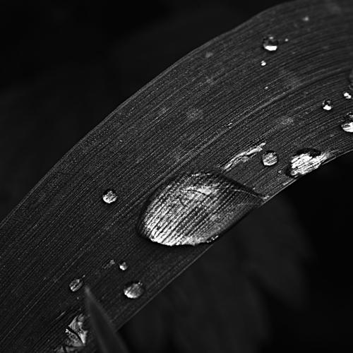 Photo #4270379