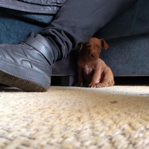 Photo #4270386