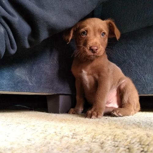 Photo #4270388