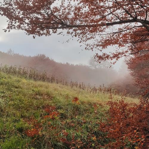 Photo #4270462