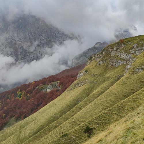 Photo #4270487