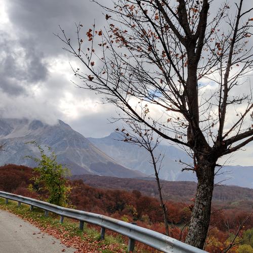 Photo #4270610