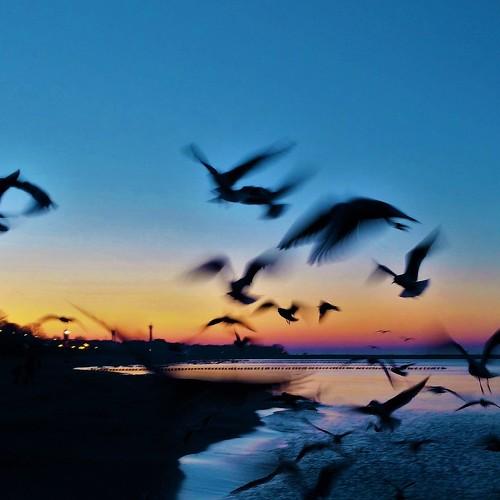 Photo #4270959