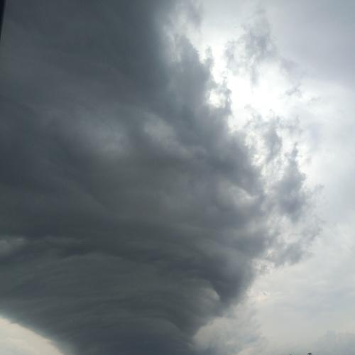 Photo #4271078