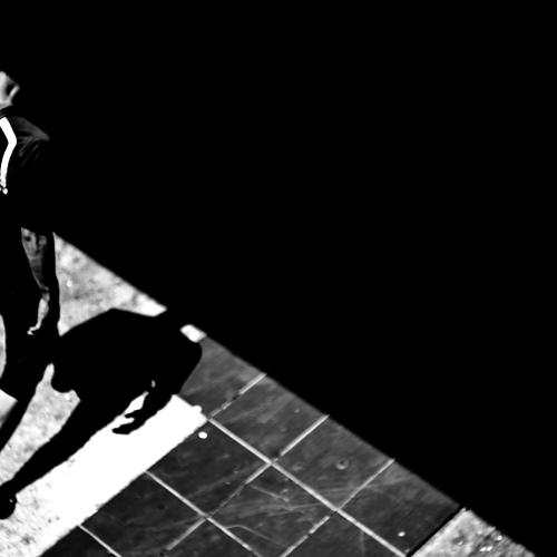 Into the Dark