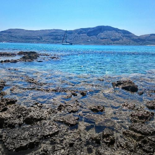 Photo #4272328