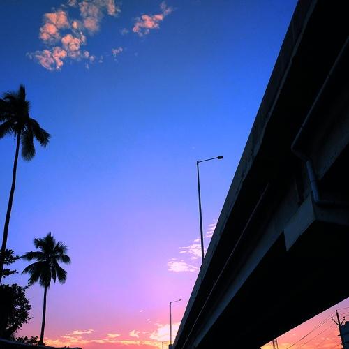 Photo #4272384