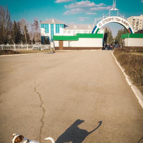 Photo #4273208
