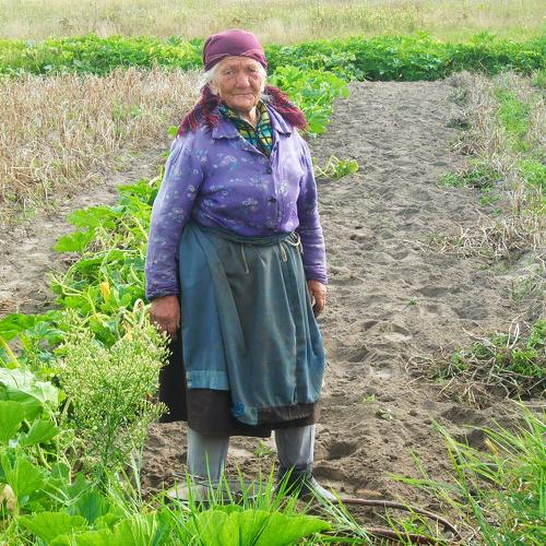 Photo #4273239