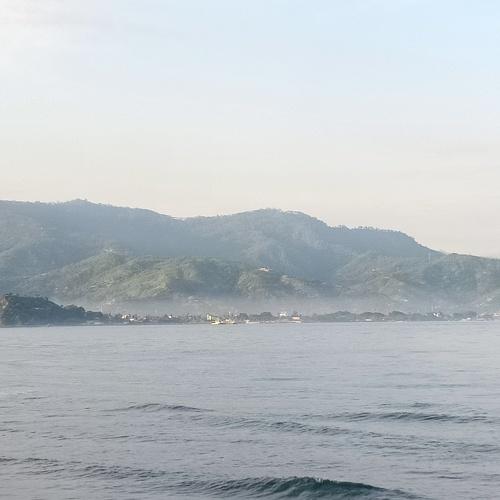 Photo #4273263
