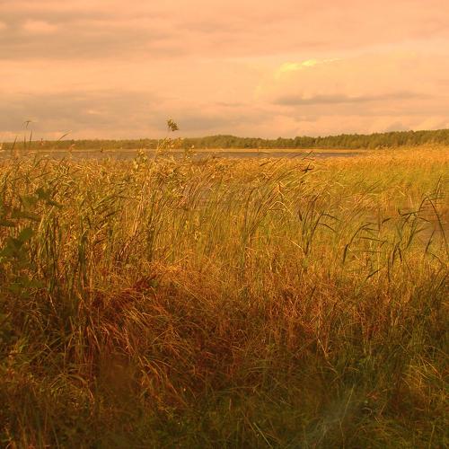 Photo #4273533