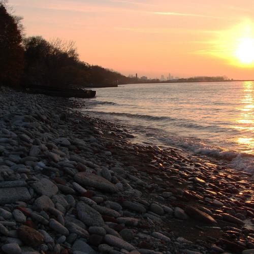 Photo #4273552