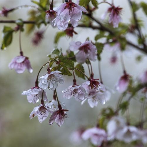 Photo #4274243