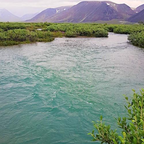 Photo #4274654
