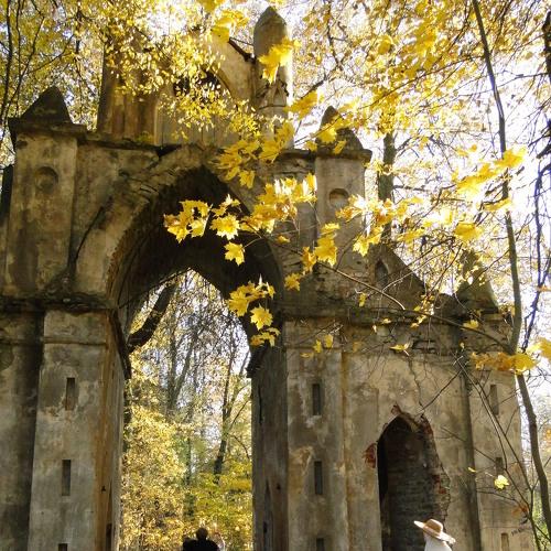 Photo #4274752