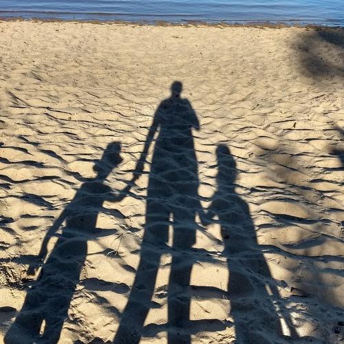 Photo #4274892