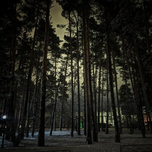 Photo #4275345