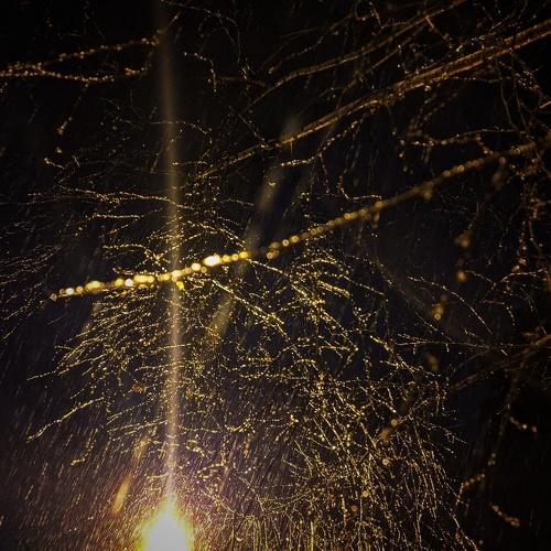 Photo #4275372